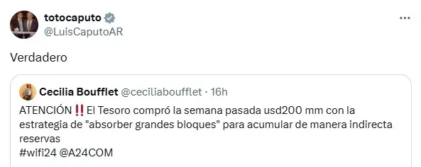 El mensaje de Luis Caputo en el que confirmó que el Tesoro compró u$s200 millones para reservas