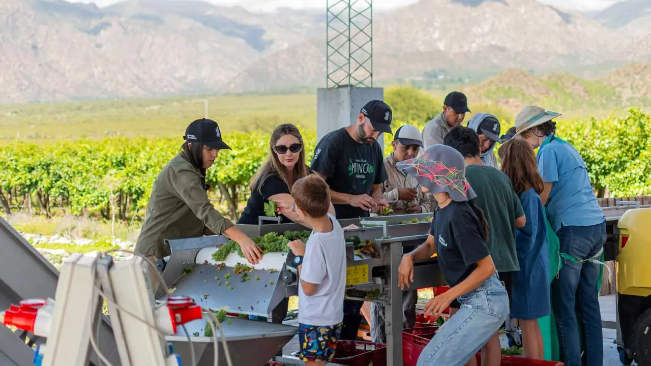 Trabajaba como bióloga y hoy lidera Bodega Dal Borgo, referente del vino boutique en Salta