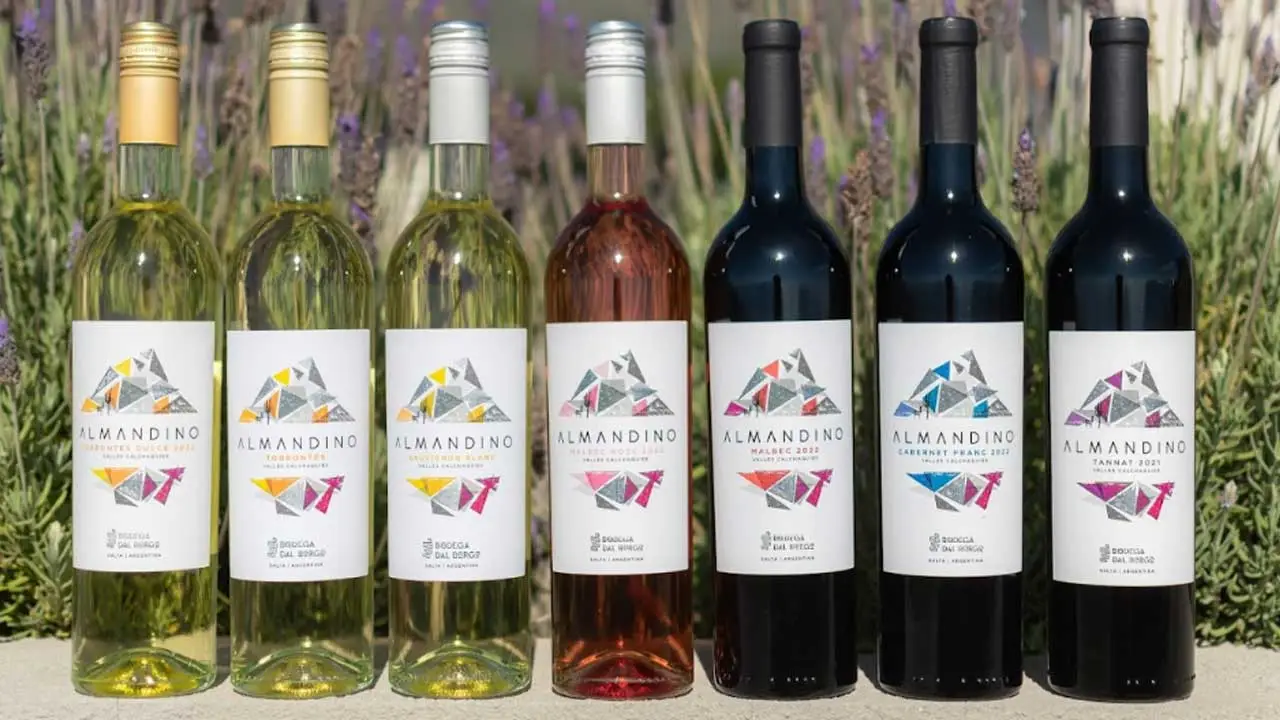 Trabajaba como bióloga y hoy lidera Bodega Dal Borgo, referente del vino boutique en Salta