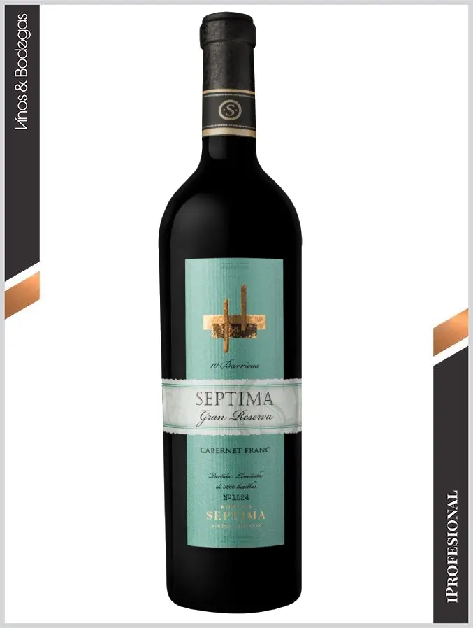 Un Cabernet Franc argentino fue elegido el mejor vino del año por más de 100 enólogos