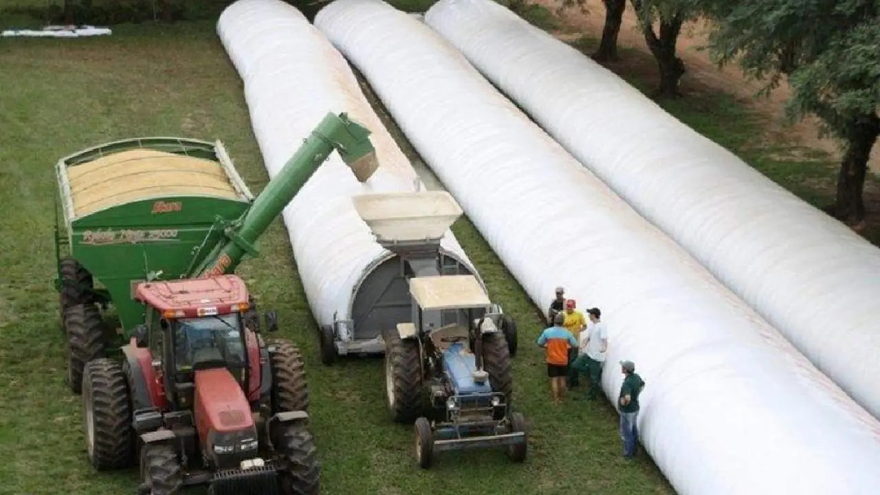 Wiagro revoluciona el almacenamiento de soja con nanosensores e inteligencia artificial