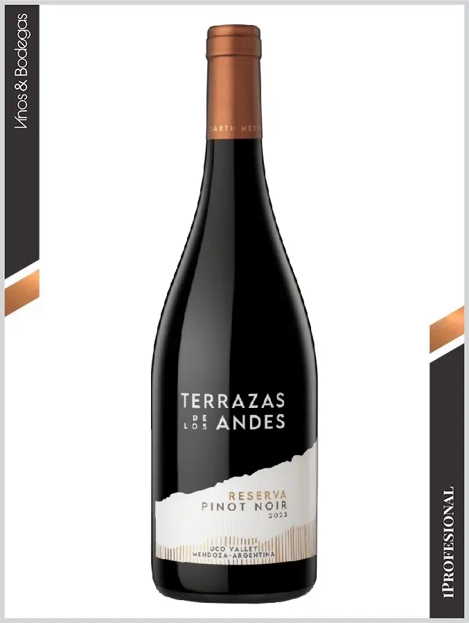 Los nuevos vinos argentinos que marcan tendencia y definen qu&eacute; beber en 2026