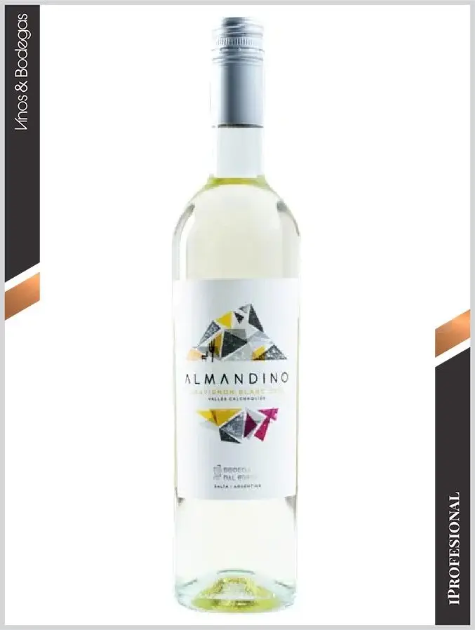 Los nuevos vinos argentinos que marcan tendencia y definen qu&eacute; beber en 2026