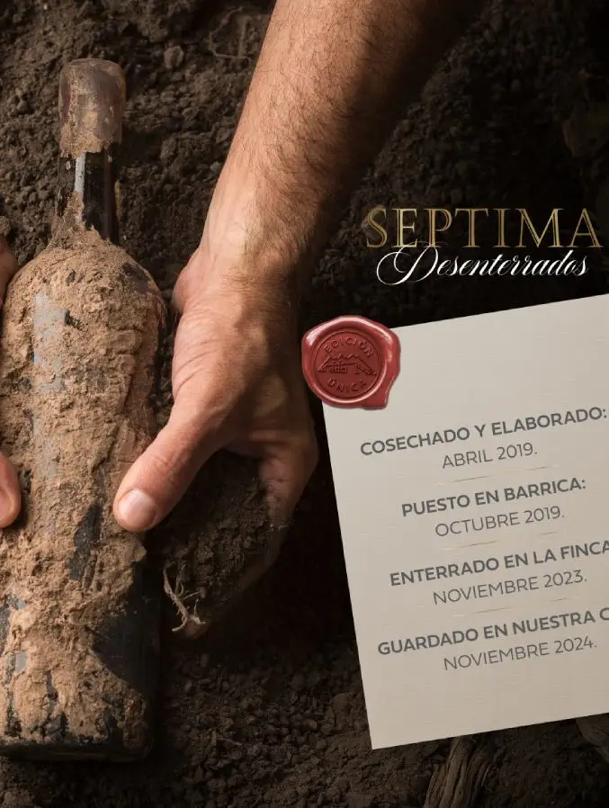 Los nuevos vinos argentinos que marcan tendencia y definen qu&eacute; beber en 2026