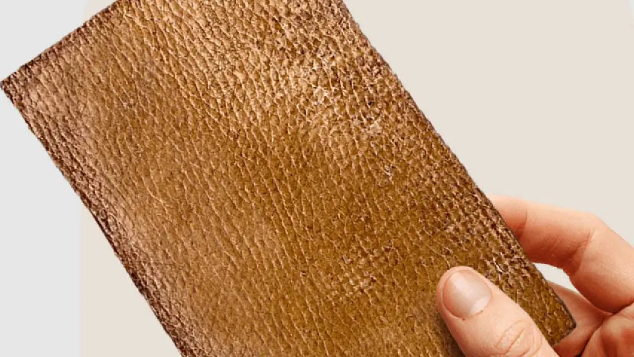 Del residuo al negocio global: una startup argentina crea cuero ecol&oacute;gico con desechos de cerveza y proyecta escalar su producci&oacute;n en 2026