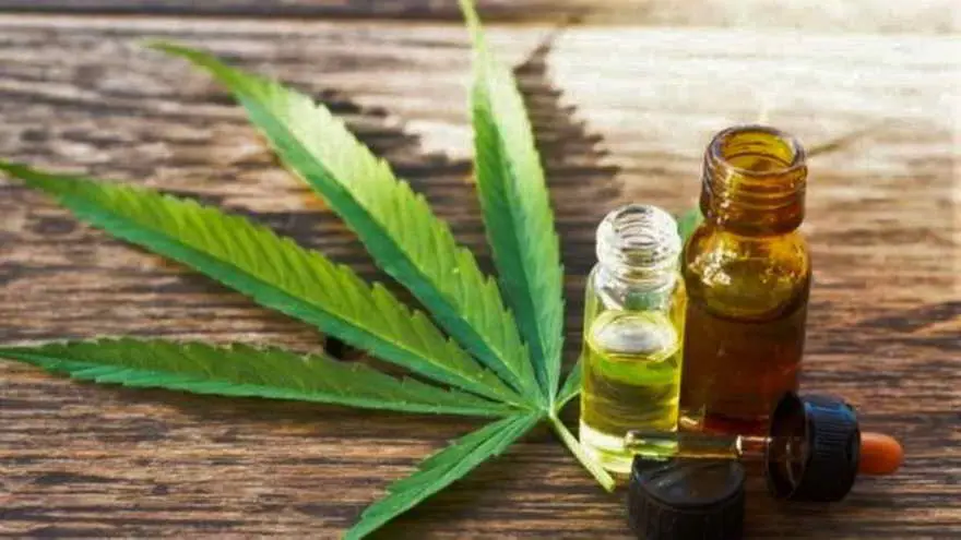 Socios de Cannabis company Builder. García (CFO), Rey (COO), Antalich (CIO) e Israel (CEO) crearon CCB.