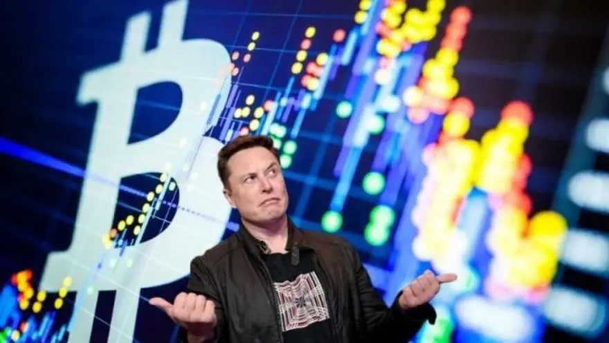 Elon Musk es una figura a la que recurren los estafadores para cometer sus tropelías.