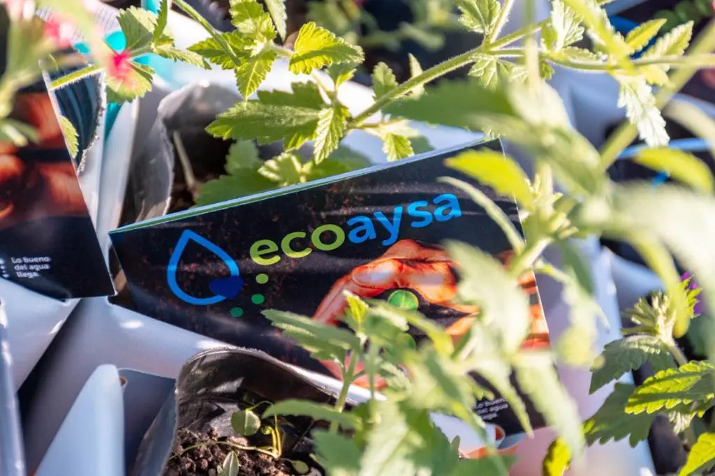 EcoAySA 