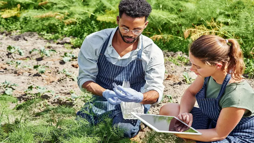 Agtech levanta inversión récord