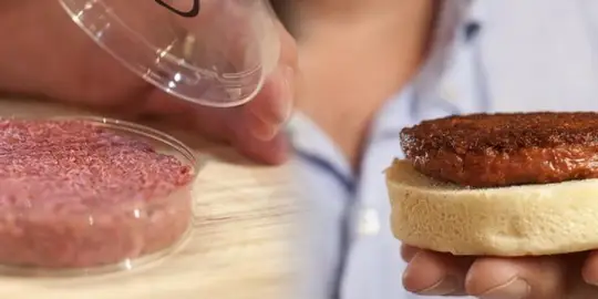 En base a plantas, artificial de laboratorio, o incluos impresa en 3D, la caren artificial va ganando su espacio en los mercados