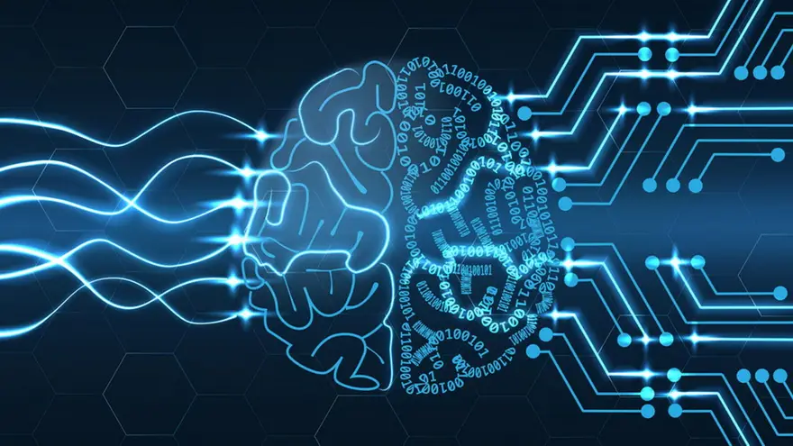Realmente, se utiliza el 100 % del cerebro. Es un órgano muy potente, consumiendo el 20 % del oxígeno y el 50 % de la glucosa que entra en el cuerpo