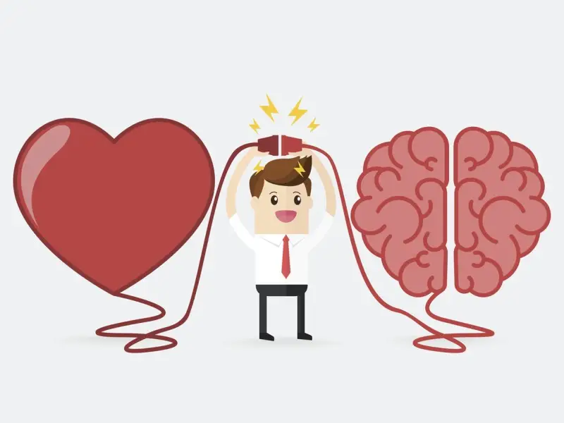 Llegar al corazón para llegar al cerebro