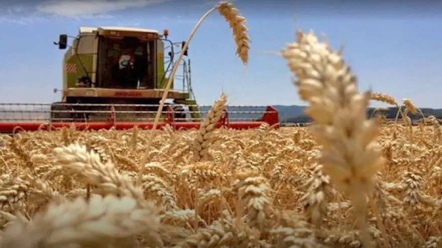 Con esta iniciativa se busca el fortalecimiento del campo