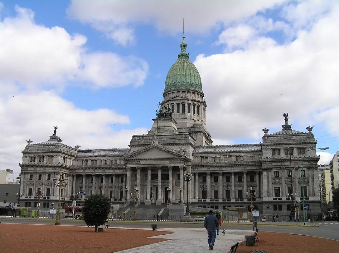 El Congreso debe controlar si se cumplieron los requisitos que establece la Constitución