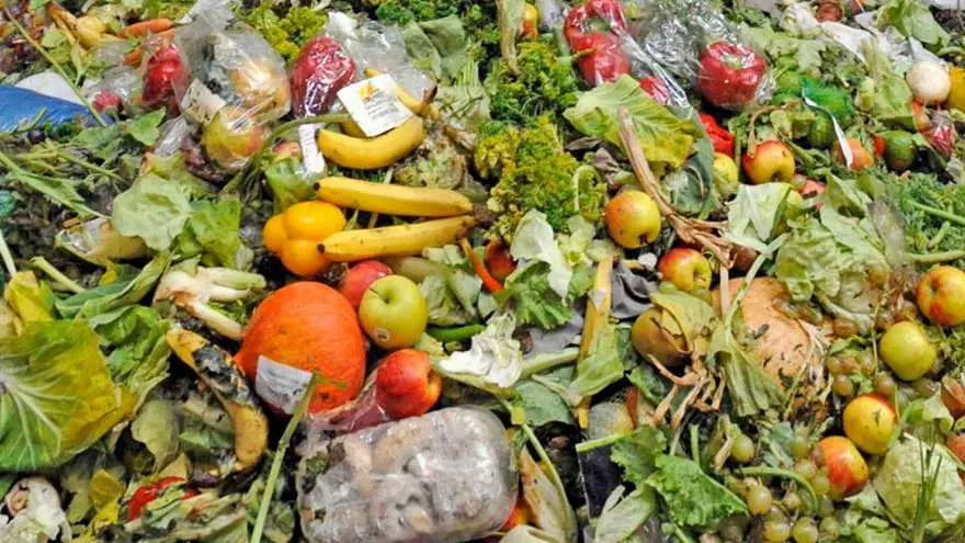 No más comida desperdiciada, otro de los objetivos de Nilus