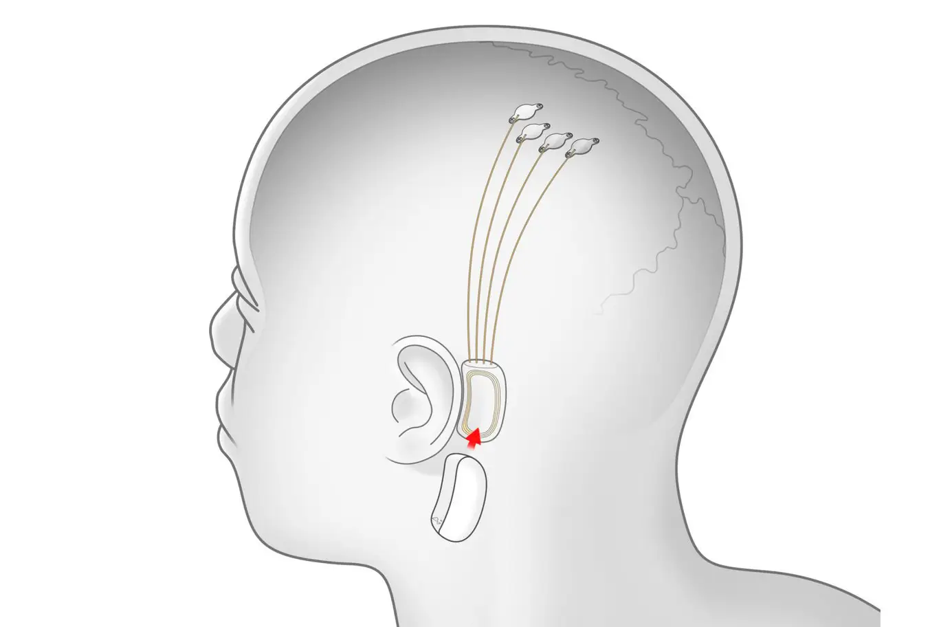 proyecto de una interfaz cerebro-máquina
