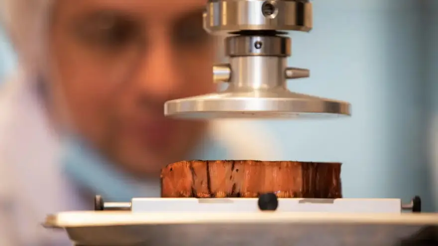 Un técnico examina el proceso de creación de un bife de carne artificial producida con una impresora 3D