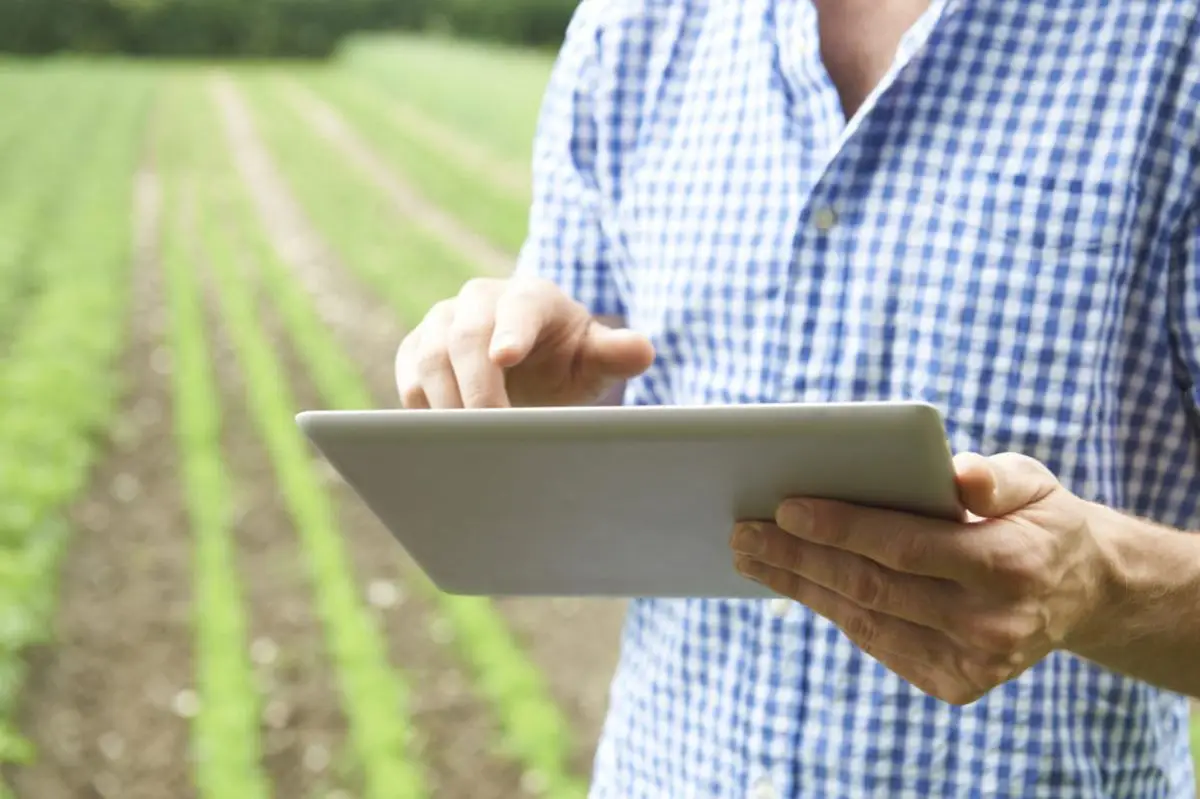 Algunas de las startups más innovadoras están en el sector de la agricultura y el campo