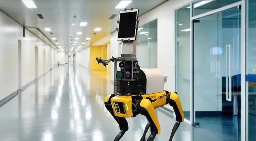 El perro robot trabajando en el hospital