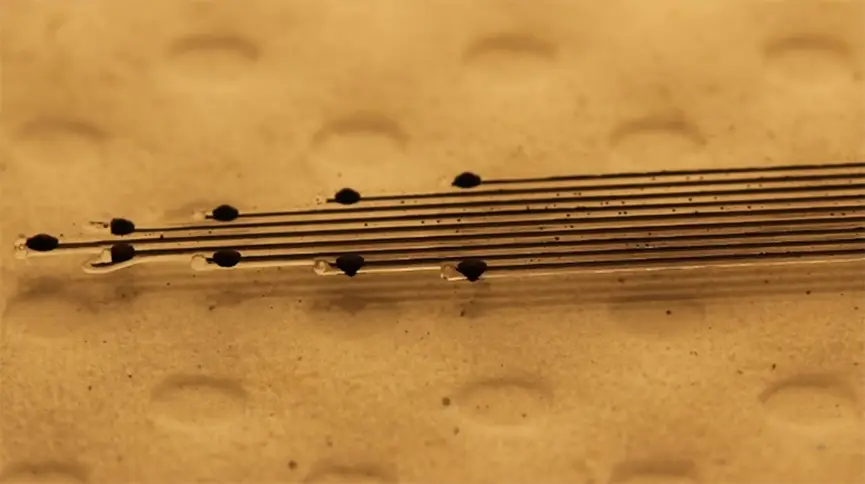 El implante conectaría el cerebro a una computadora y podría utilizarse para elaborar tratamientos para problemas del sistema nervioso