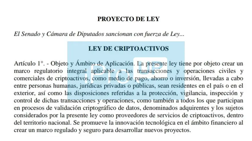 Fascímil del proyecto del diputado Ignacio Torres