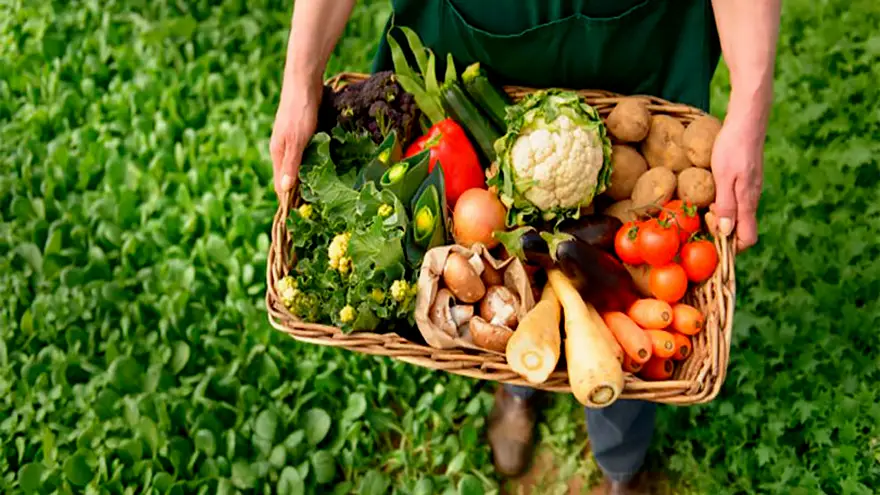La agroecología es una de las carreras universitarias del futuro