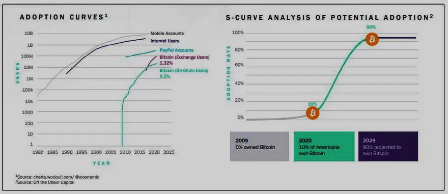 Bitcoin, con 0,3% de penetración, tiene un gran potencial de crecimiento. Fuente: SkyBridge