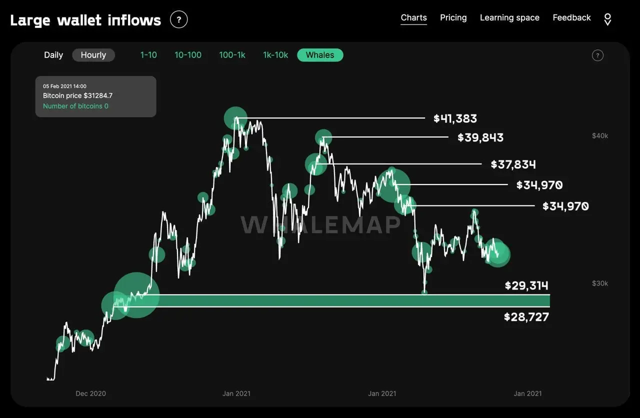 Entradas de billeteras que brindan niveles probables de soporte y resistencia para el par BTC/USD. Fuente: Whalemap