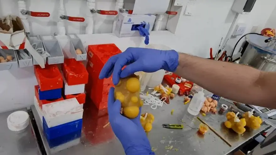 Con esta tecnología se pueden llegar a imprimir síiles de órganos humanos