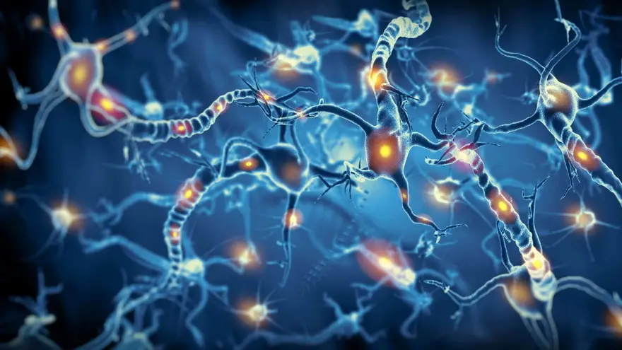 El proyecto busca entrelazar el erebro humano con dispositivos electrónicos