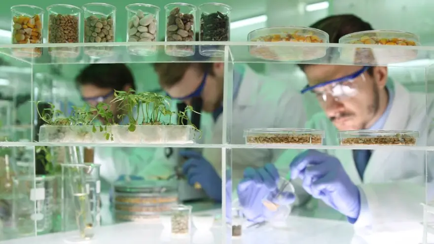Los emprendimientos de soluciones de software acapararon el año pasado el 21,1% de las inversiones, seguidos por las startups de biotecnología, con el 18,9%