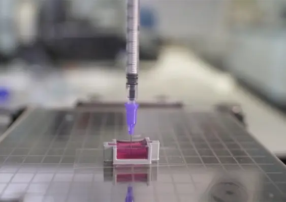La impresión 3D de tejido óseo nuevo con células vivas acelerará la recuperación de los pacientes.