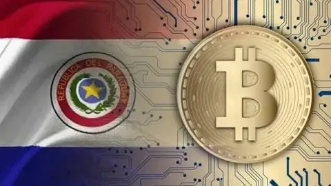 Paraguay quedó a un paso de aprobar su propia Ley Bitcoin para regular las criptomonedas en todo su territorio