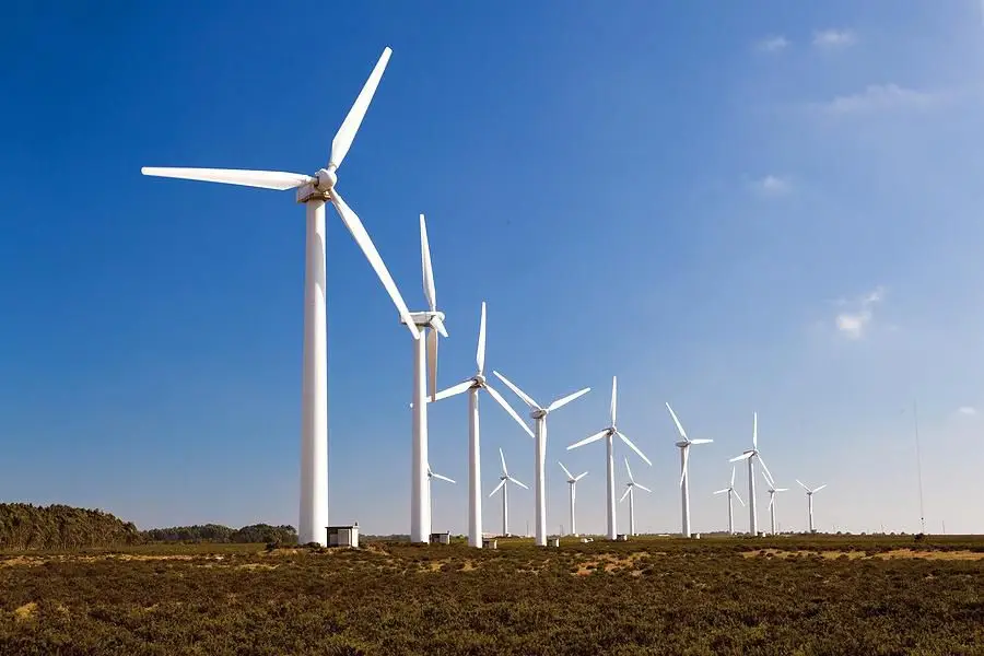 Una startuo que se preocupa por el medio ambiente