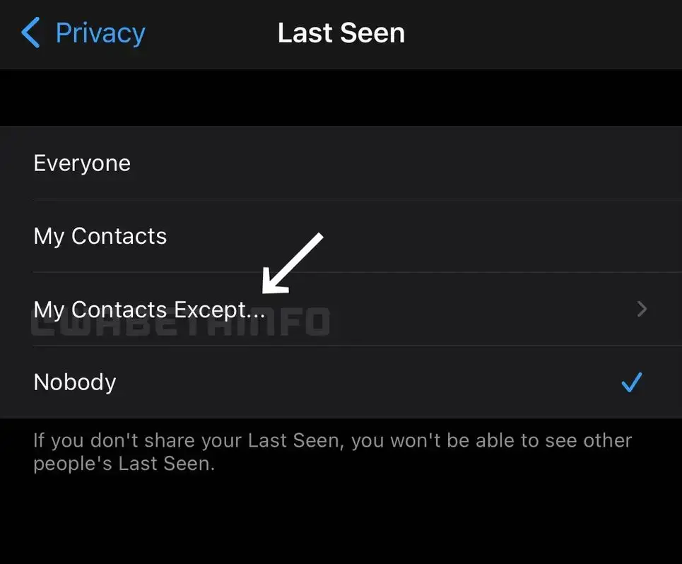 Nueva función para ocultar la hora de conexión en WhatsApp (WABetaInfo)
