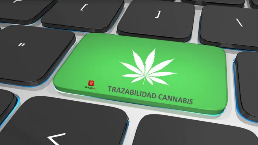 El mercado del cannabis abre una gran puerta de negocios.