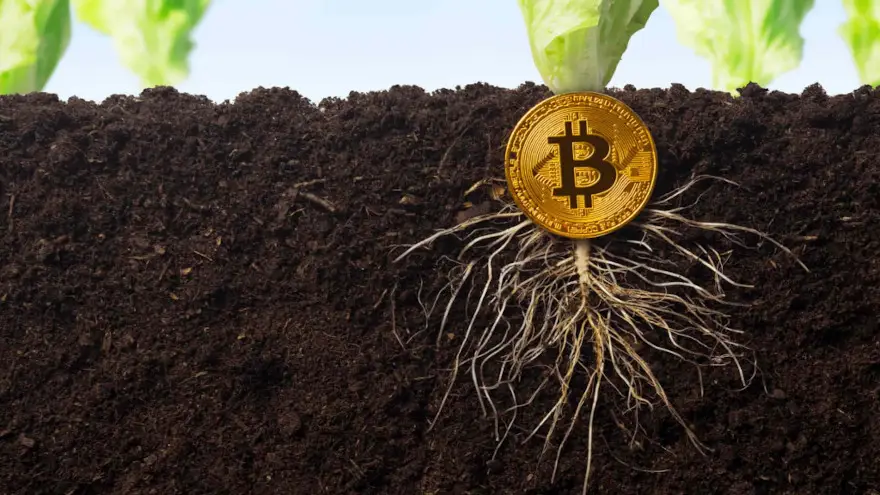 Es importante destacar que, aunque Taproot ya recibió el respaldo de la comunidad minera a inicios de esta semana, se necesitaban otros 800 bloques para que la función se active de forma efectiva
