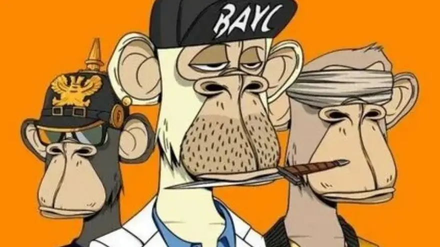 Bored Ape, los monitos de la tragedia