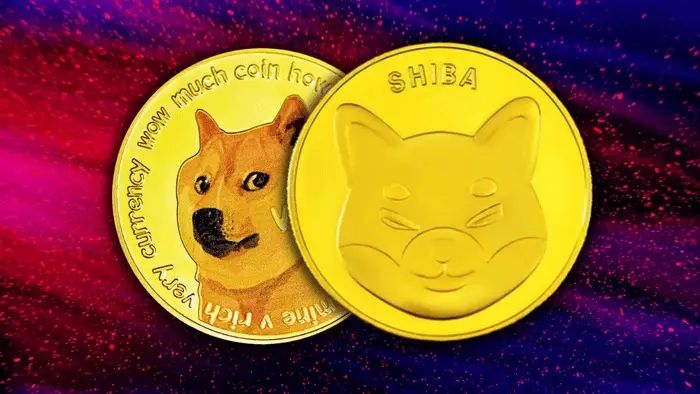 Shiba la rival natural de Doge