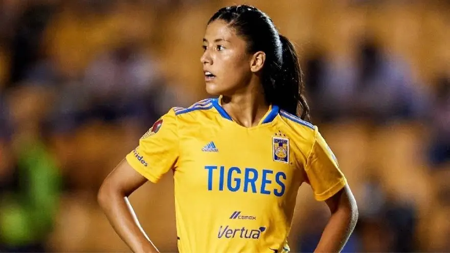 Tigres