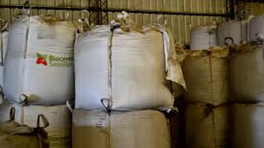 Biotecnología y sector agroindustrial, una combinación perfecta