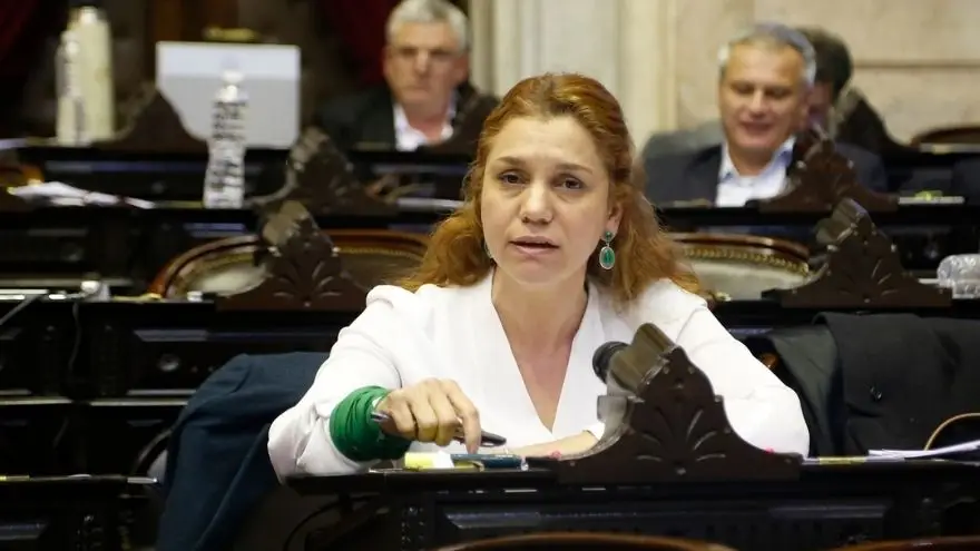 La diputada radical Karina Banfi presentó el proyecto: 
