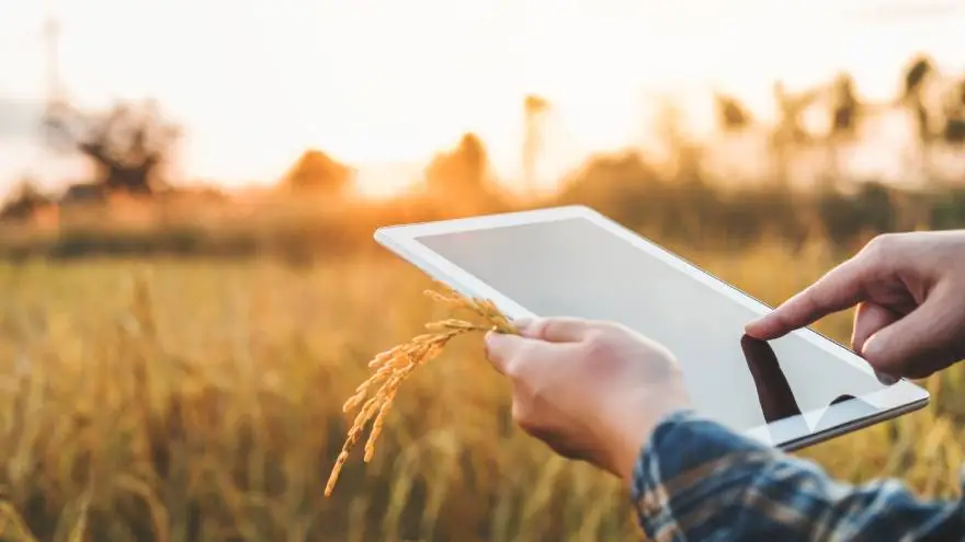 Flash Agro, un empredimiento innovador