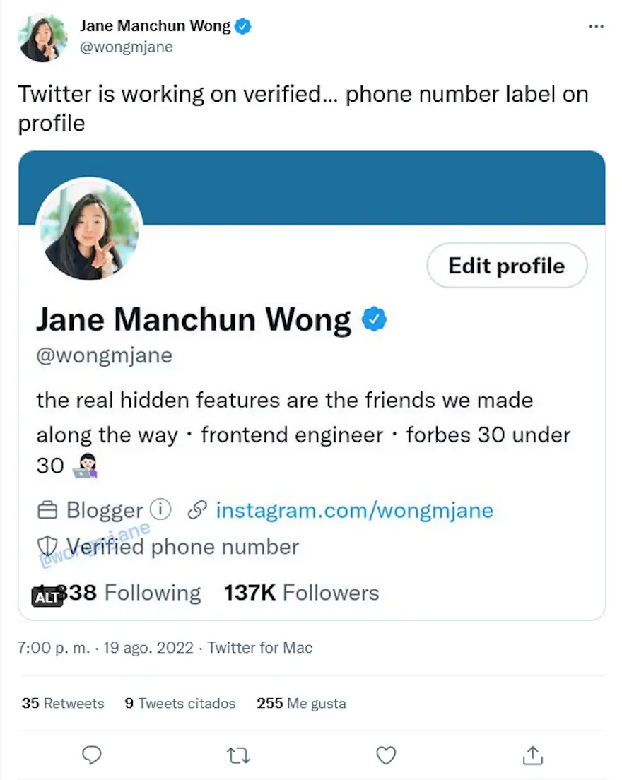 Jane Manchun Wong, ingeniera experta