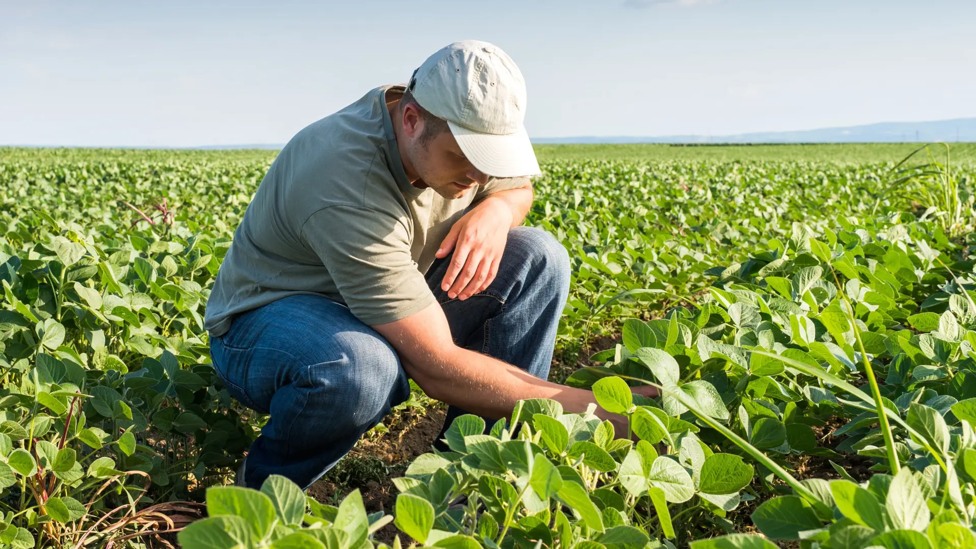 Según la Cámara Fintech, hay u$s120.000 millones de commodities agrícolas que se pueden tokenizar al año