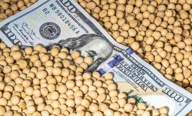 La implementación del dólar soja generó el ingreso de u$s6.000 millones en solo un mes.