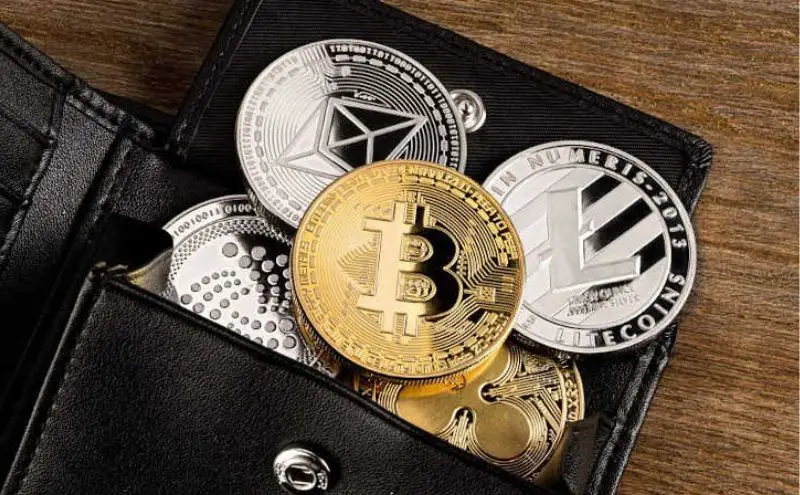 Es importante conocer las diferencias entre los diferentes tipos de wallets antes de tomar una decisión