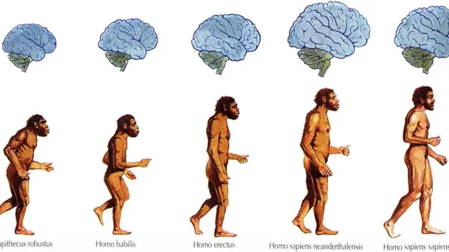 Tal vez haya que dejarle en sus manos a la naturaleza la evolución del hombre