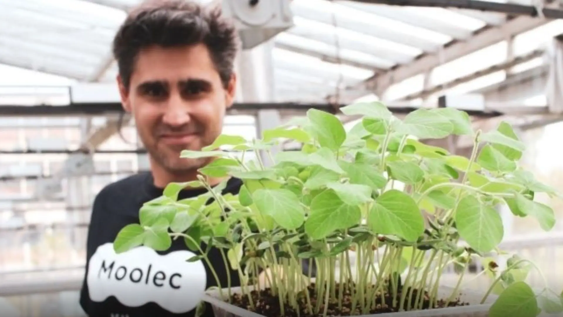 La valuación de Moolec alcanzaba los u$s504 millones antes de la fusión con Light