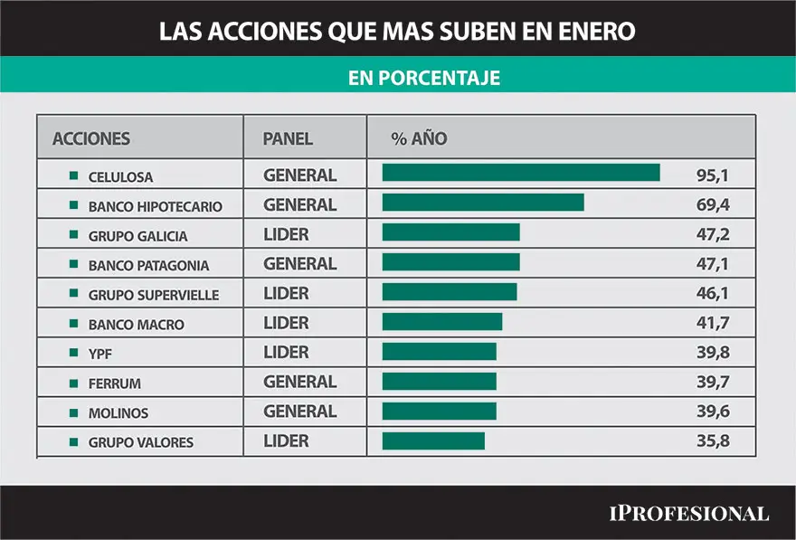 Las acciones destacadas de enero (Fuente: iProfesional)